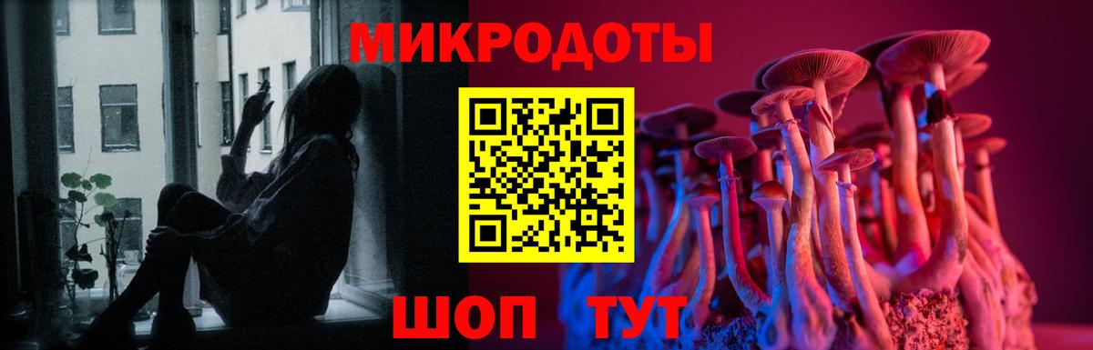 Галлюциногенные грибы Psilocybe  Вход с VPN  Лесозаводск 